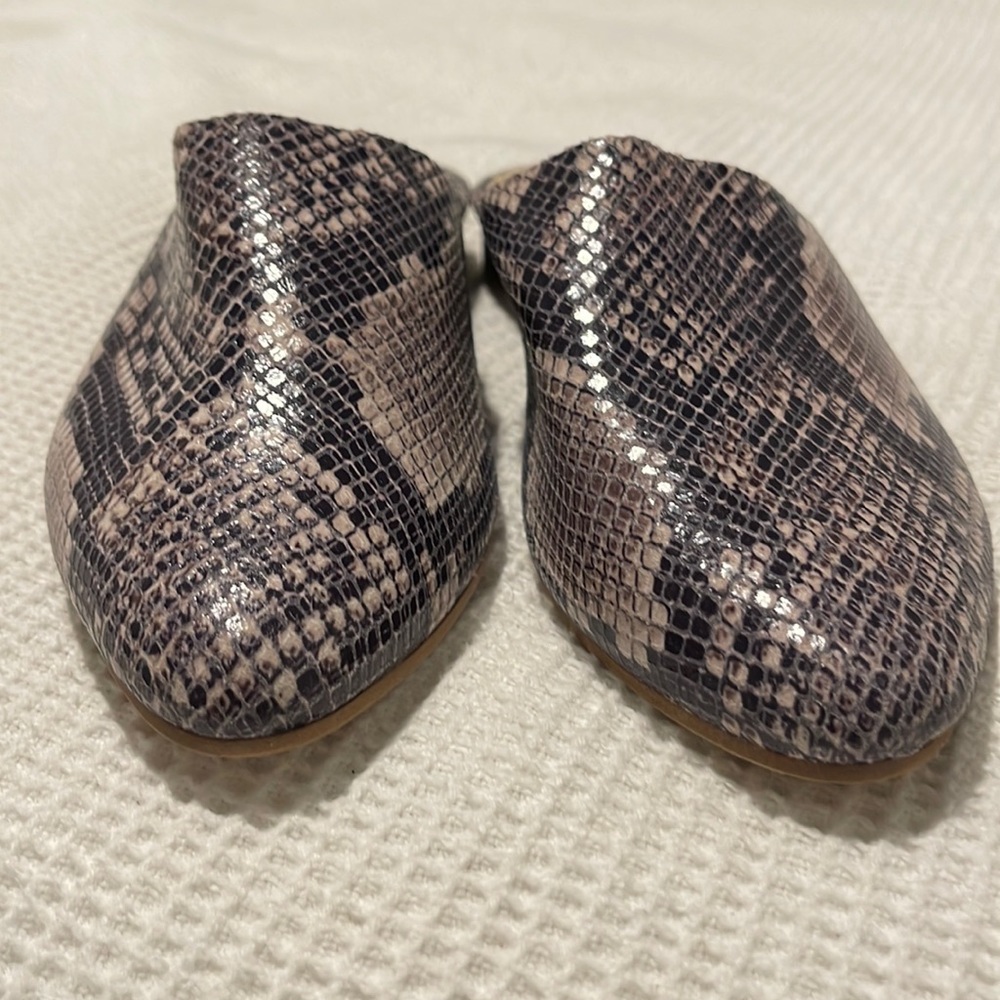 Earth shoes  size 7
